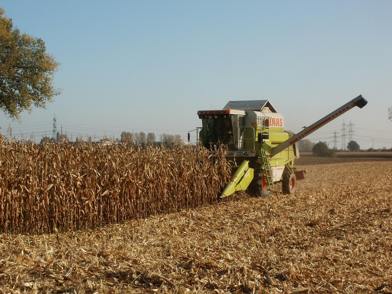corn, harvest, agriculture, maize, food, crop, farming, field, harvester, combine, rural, autumn, nature, ripe, farmland, vegetable, organic, equipment, machinery, soil, season, countryside, produce, agronomy, nutrition, work, maize, maize, maize, maize, maize, agronomy, agronomy, agronomy