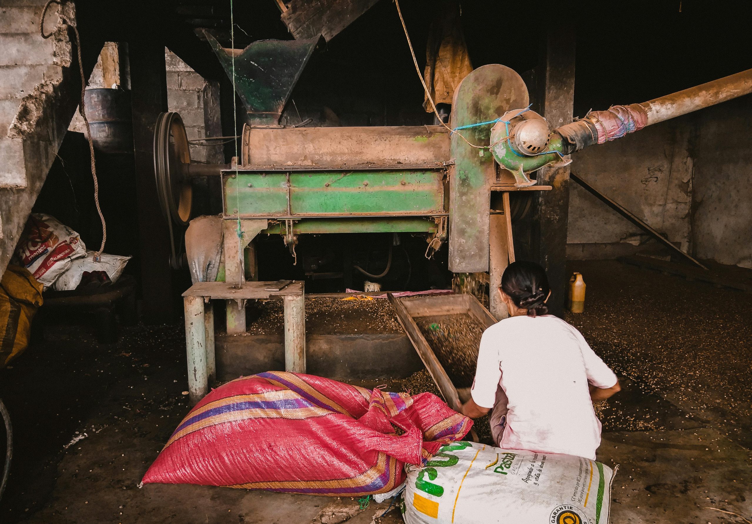 A woman working with a maize milling machine in an industrial setting, showcasing grain processing.